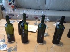 The wines we samples at Matervini